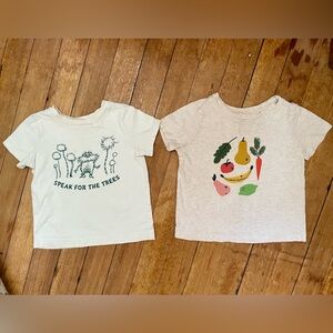 Hanna Andersson Cotton Tee Bundle 2T